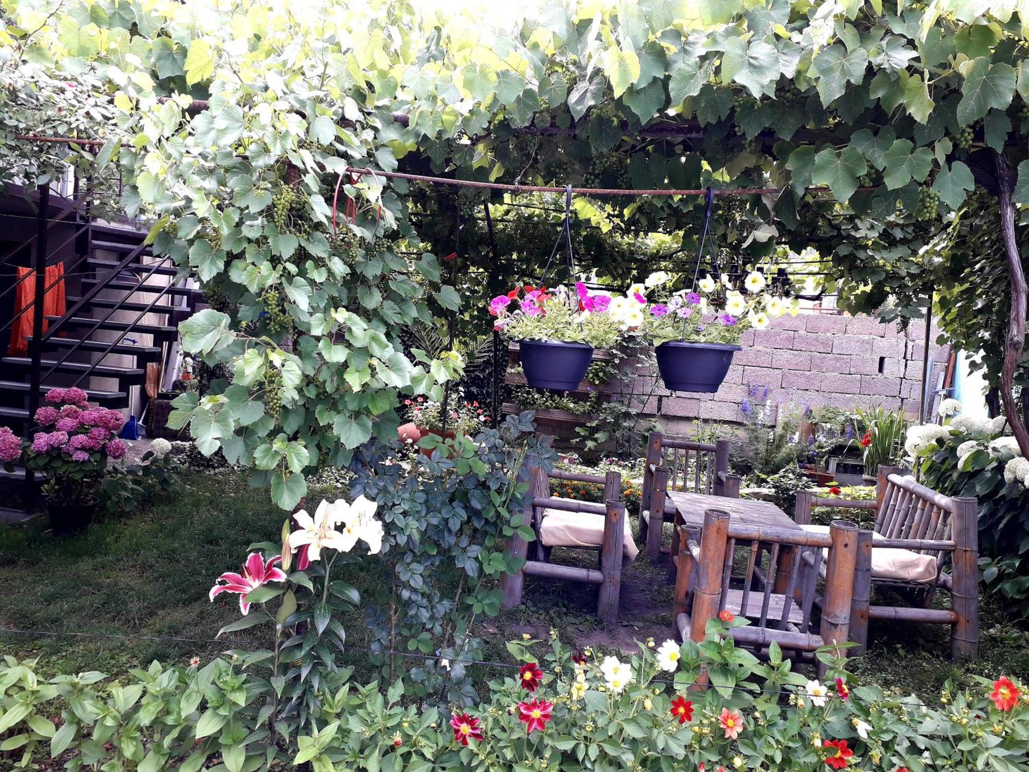 Holiday Home Боржоми Экстерьер фото